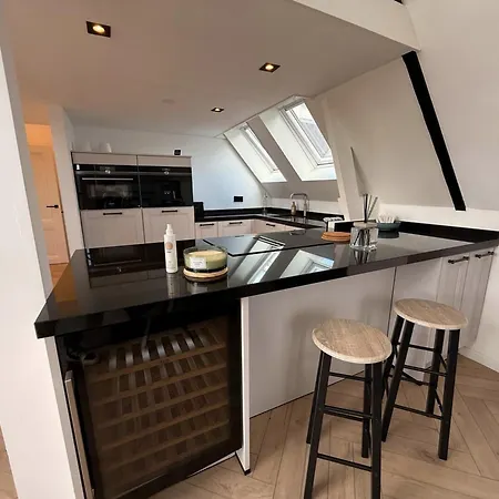 Luxury 3br Penthouse Loft With Rooftop Terrace Near Museum Quarter In
