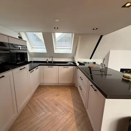 Luxury 3br Penthouse Loft With Rooftop Terrace Near Museum Quarter In * Amsterdam