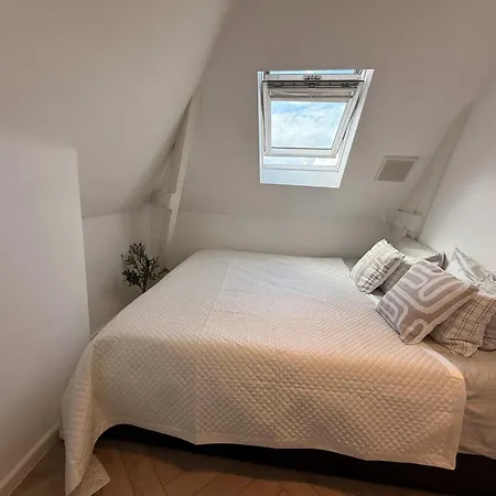 Luxury 3br Penthouse Loft With Rooftop Terrace Near Museum Quarter In 公寓