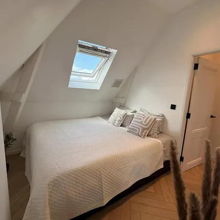 Luxury 3br Penthouse Loft With Rooftop Terrace Near Museum Quarter In * Amsterdam